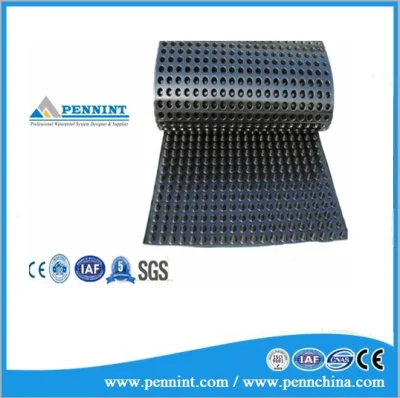 High Quality Construction Materials Plastic Drainage Board Used for Municupal Engineering